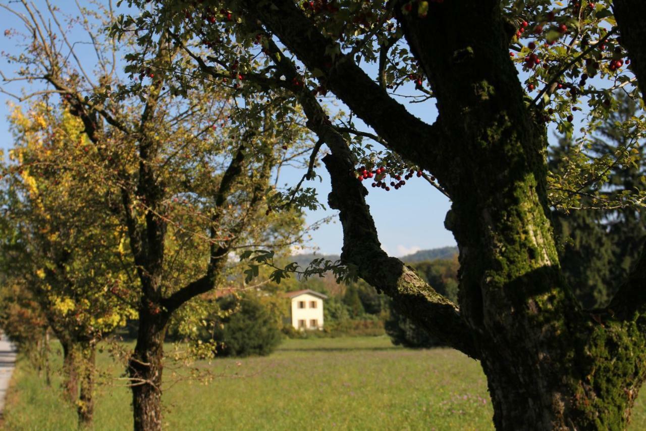 L'Antica Corte Lazzago Rooms 科莫 外观 照片